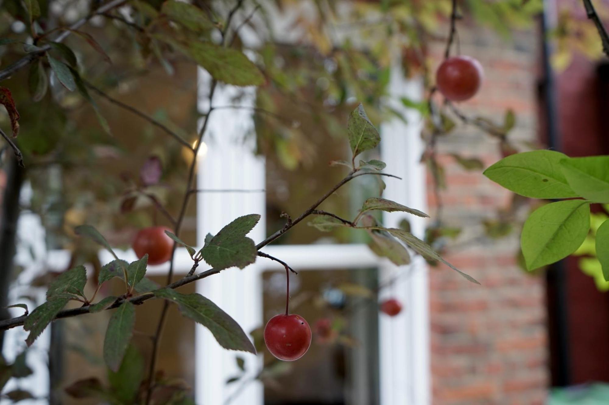 Luxury London House Sleeps 13, 2 Minutes To Metro Villa Eksteriør bilde